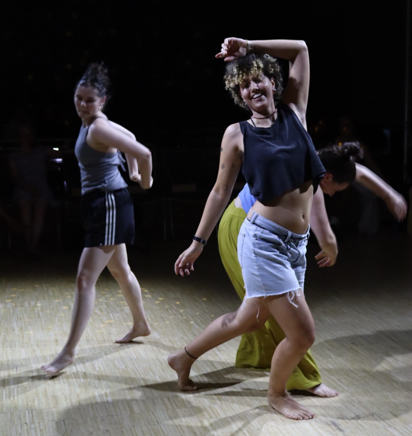 2026TanzfestTitel