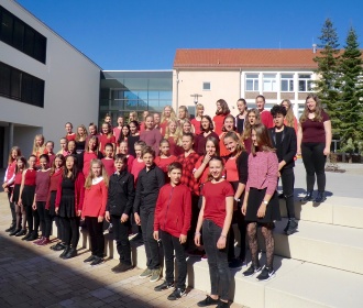 Kinderchor VoGGS - Ensemblefoto Schule 2017